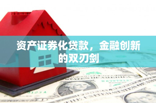 定陶资产证券化贷款，金融创新的双刃剑