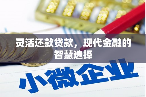 定陶灵活还款贷款，现代金融的智慧选择