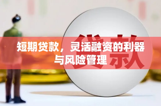 定陶短期贷款，灵活融资的利器与风险管理