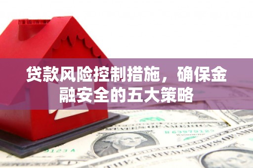 定陶贷款风险控制措施，确保金融安全的五大策略