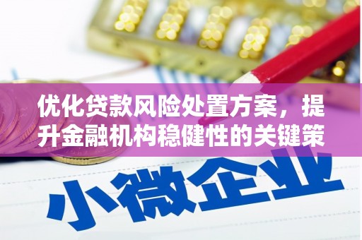 定陶优化贷款风险处置方案，提升金融机构稳健性的关键策略