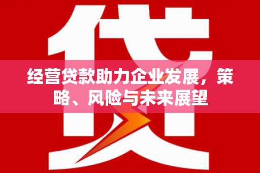 定陶经营贷款助力企业发展，策略、风险与未来展望