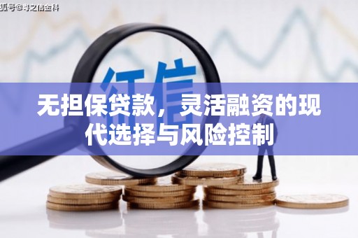 定陶无担保贷款，灵活融资的现代选择与风险控制