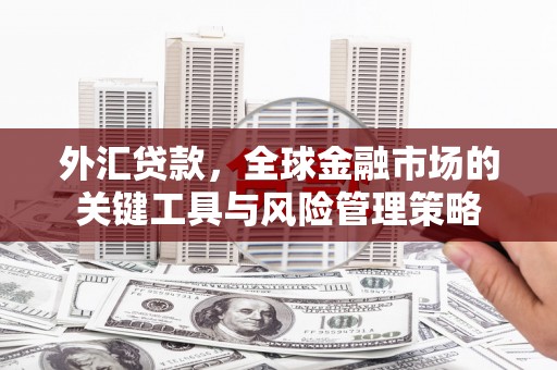 定陶外汇贷款，全球金融市场的关键工具与风险管理策略