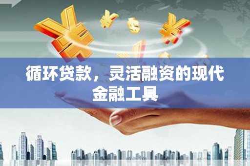 定陶循环贷款，灵活融资的现代金融工具