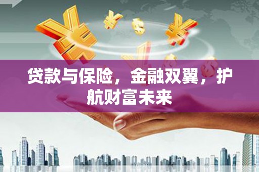 定陶贷款与保险，金融双翼，护航财富未来