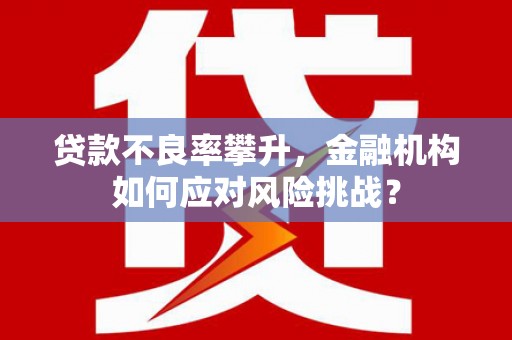 定陶贷款不良率攀升，金融机构如何应对风险挑战？
