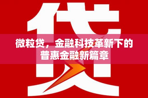 定陶微粒贷，金融科技革新下的普惠金融新篇章