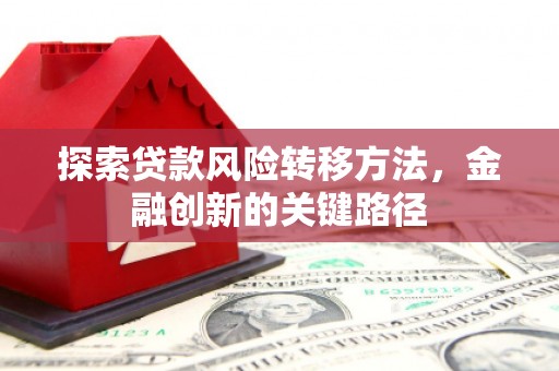 定陶探索贷款风险转移方法，金融创新的关键路径