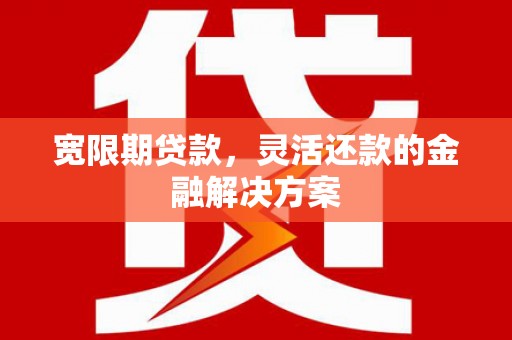 定陶宽限期贷款，灵活还款的金融解决方案