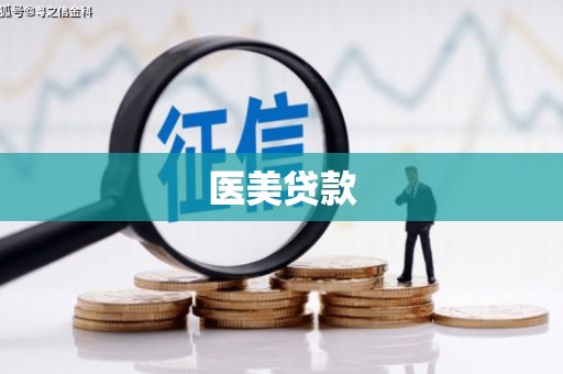 定陶医美贷款