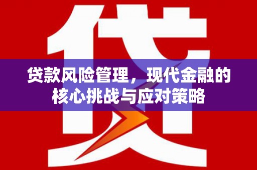 定陶贷款风险管理，现代金融的核心挑战与应对策略