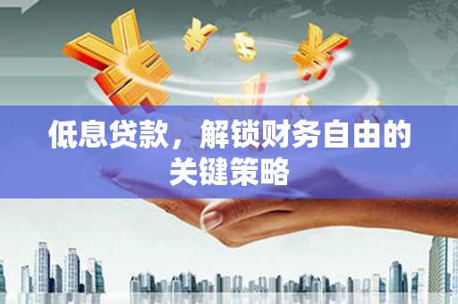 定陶低息贷款，解锁财务自由的关键策略