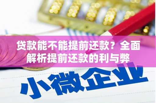 定陶贷款能不能提前还款？全面解析提前还款的利与弊
