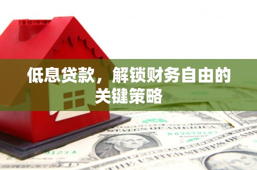 定陶低息贷款，解锁财务自由的关键策略
