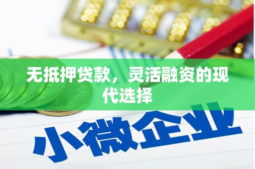 定陶无抵押贷款，灵活融资的现代选择