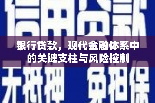 定陶银行贷款，现代金融体系中的关键支柱与风险控制