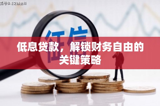 定陶低息贷款，解锁财务自由的关键策略