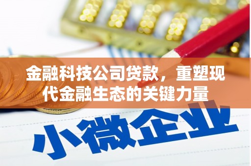 定陶金融科技公司贷款，重塑现代金融生态的关键力量