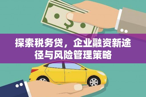 定陶探索税务贷，企业融资新途径与风险管理策略