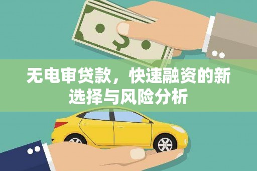 定陶无电审贷款，快速融资的新选择与风险分析