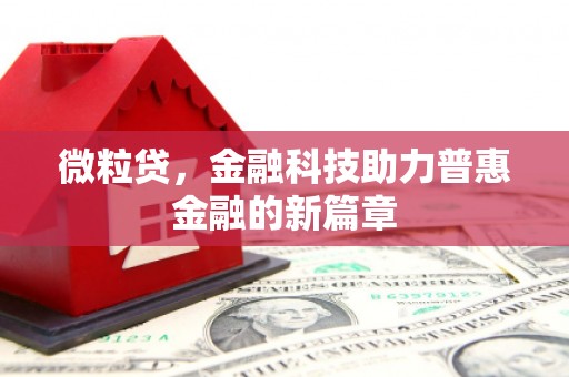 定陶微粒贷，金融科技助力普惠金融的新篇章