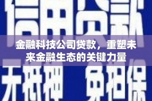 定陶金融科技公司贷款，重塑未来金融生态的关键力量