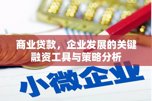 定陶商业贷款，企业发展的关键融资工具与策略分析