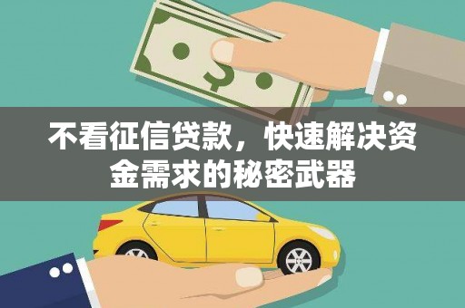 定陶不看征信贷款，快速解决资金需求的秘密武器