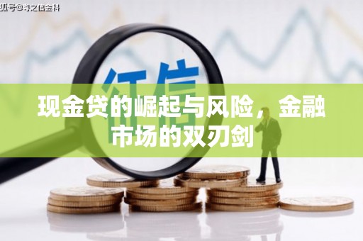 定陶现金贷的崛起与风险，金融市场的双刃剑