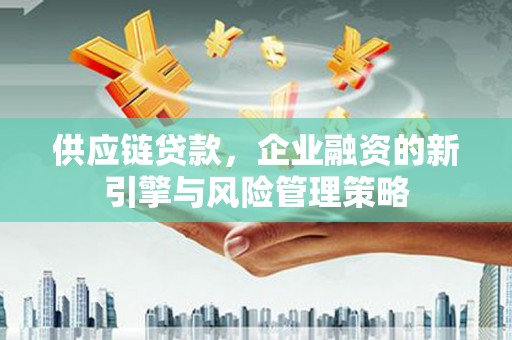 定陶供应链贷款，企业融资的新引擎与风险管理策略