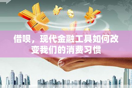 定陶借呗，现代金融工具如何改变我们的消费习惯
