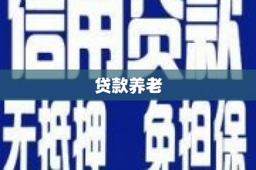 定陶贷款养老