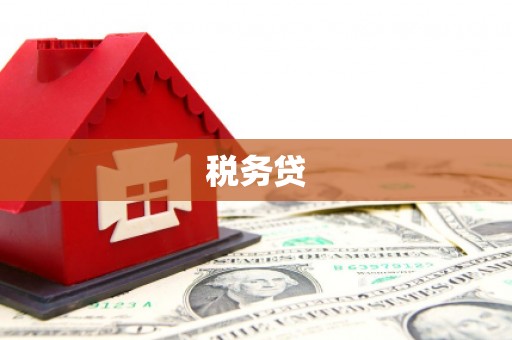 定陶税务贷