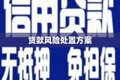 定陶贷款风险处置方案