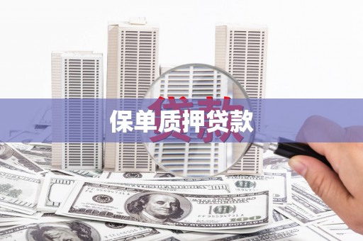 定陶保单质押贷款