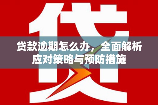 定陶贷款逾期怎么办，全面解析应对策略与预防措施