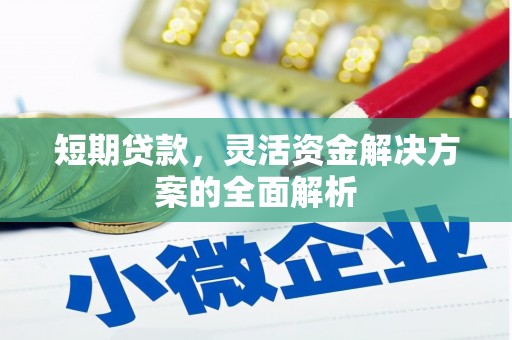定陶短期贷款，灵活资金解决方案的全面解析