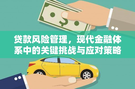 定陶贷款风险管理，现代金融体系中的关键挑战与应对策略