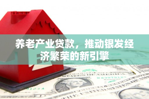定陶养老产业贷款，推动银发经济繁荣的新引擎