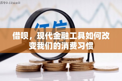 定陶借呗，现代金融工具如何改变我们的消费习惯