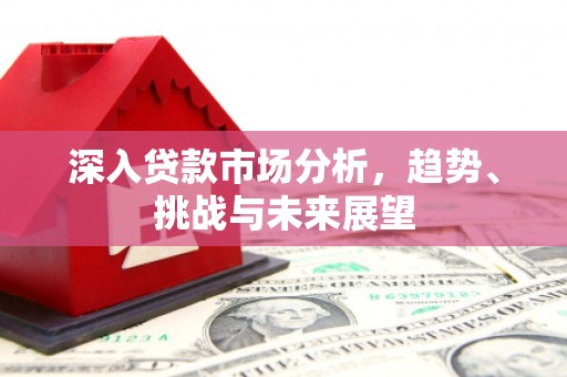 定陶深入贷款市场分析，趋势、挑战与未来展望