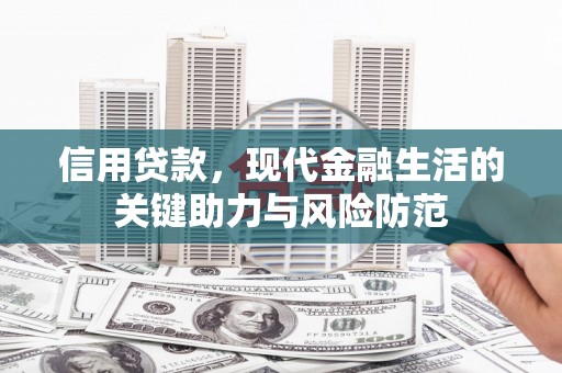 定陶信用贷款，现代金融生活的关键助力与风险防范