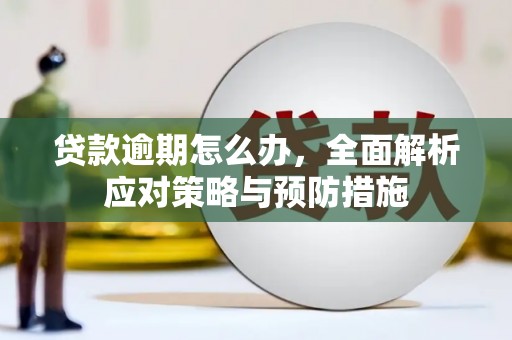 定陶贷款逾期怎么办，全面解析应对策略与预防措施