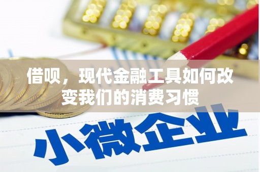 定陶借呗，现代金融工具如何改变我们的消费习惯