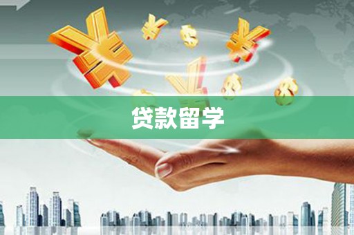 定陶贷款留学