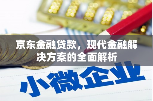 定陶京东金融贷款，现代金融解决方案的全面解析