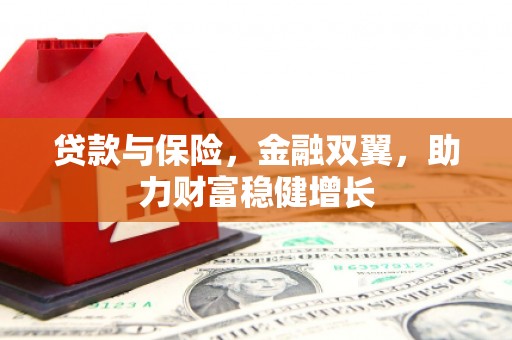 定陶贷款与保险，金融双翼，助力财富稳健增长