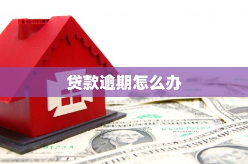 定陶贷款逾期怎么办