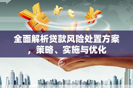 定陶全面解析贷款风险处置方案，策略、实施与优化
